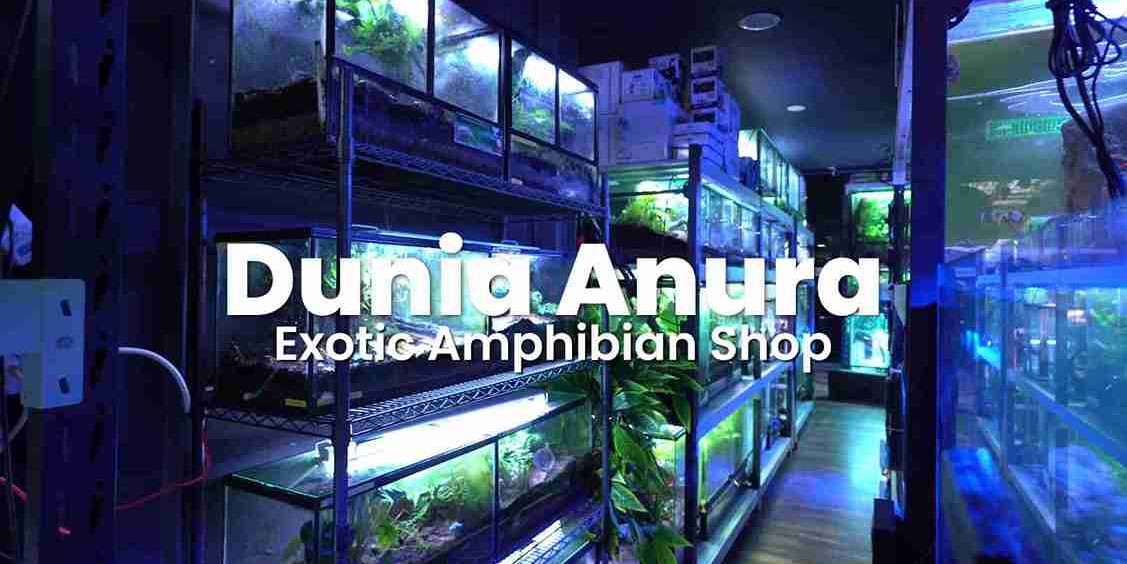 Project Management Shutter Pro