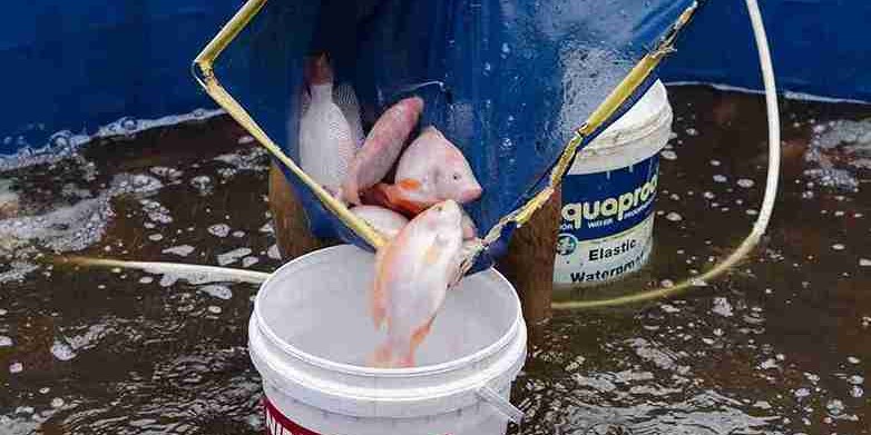 Project Management Shutter Pro