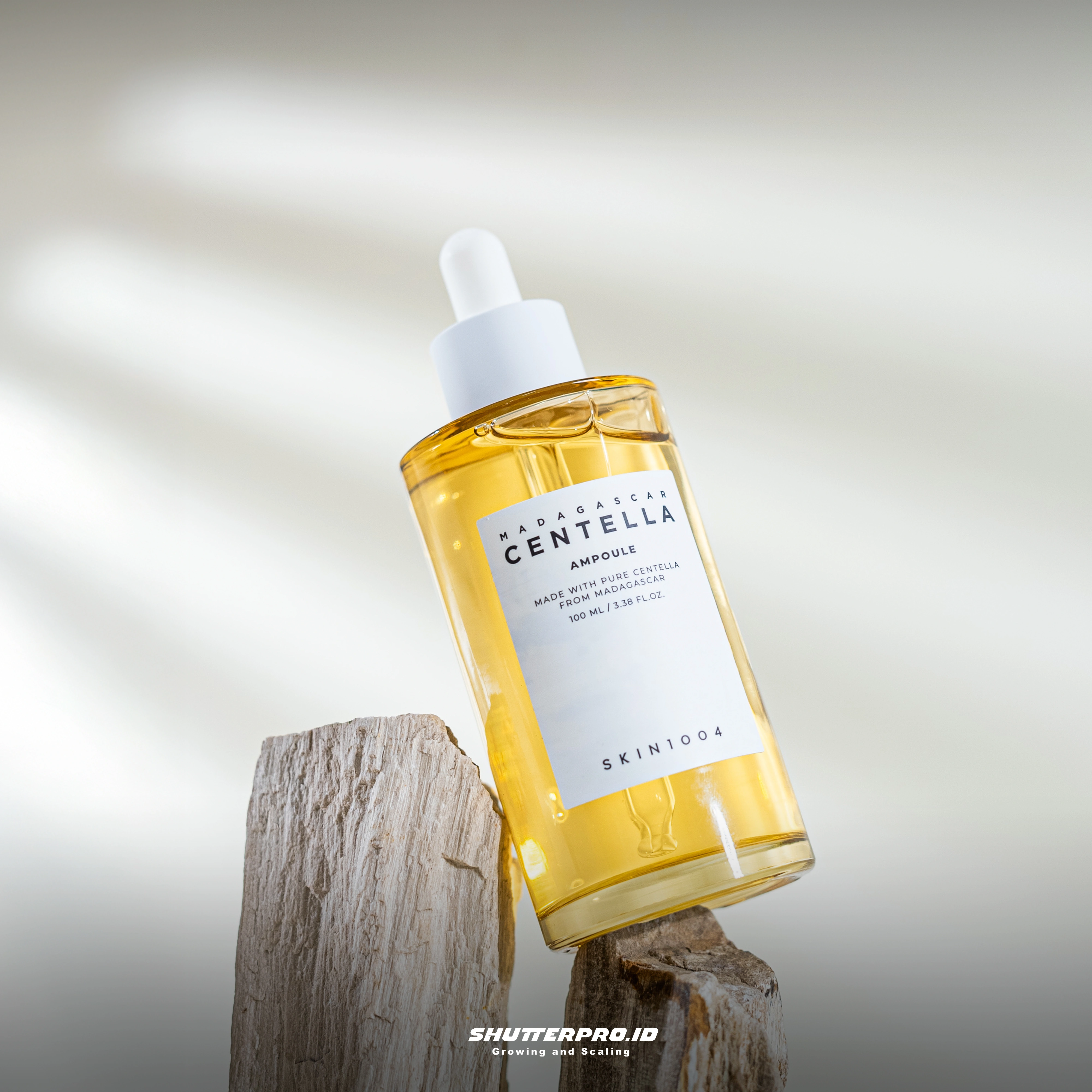 Workshop Fotografi Makanan