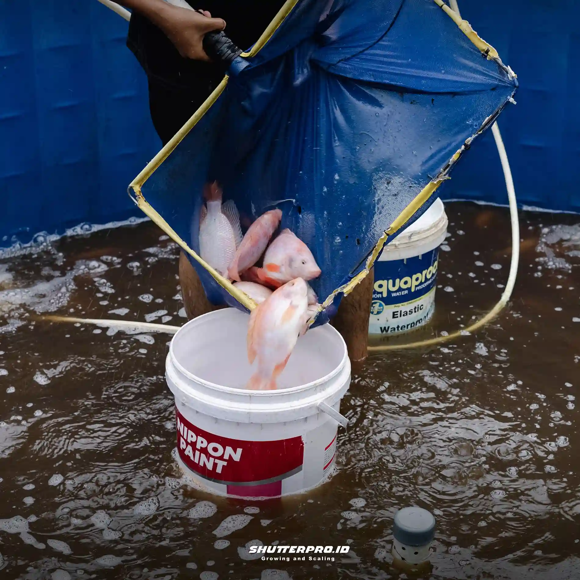 Workshop Fotografi Makanan